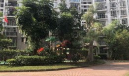 海口二手房最新爆料,价格走势与热门房源一览