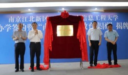 晨泉集团爆料最新消息视频,揭秘企业动态与未来规划