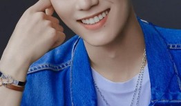 何炅肖战最新爆料,揭秘娱乐圈背后的故事与情感纠葛