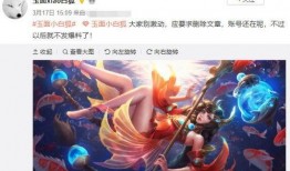 王者荣耀爆料博主最新视频,神秘英雄登场，技能大揭秘！