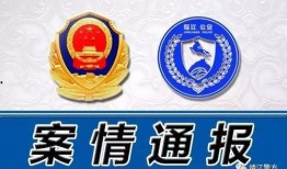 江苏靖江爆料案件最新,惊人真相揭露，警方全力追查！