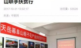 鸿阜园最新爆料新闻报道,揭秘园区发展背后的故事与挑战