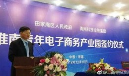 鸿阜园最新爆料新闻报道,揭秘园区发展背后的故事与挑战