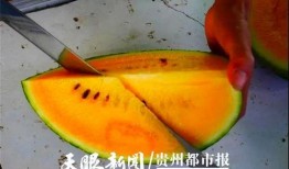 贵阳吃瓜爆料视频大全最新,一网打尽城市热点事件